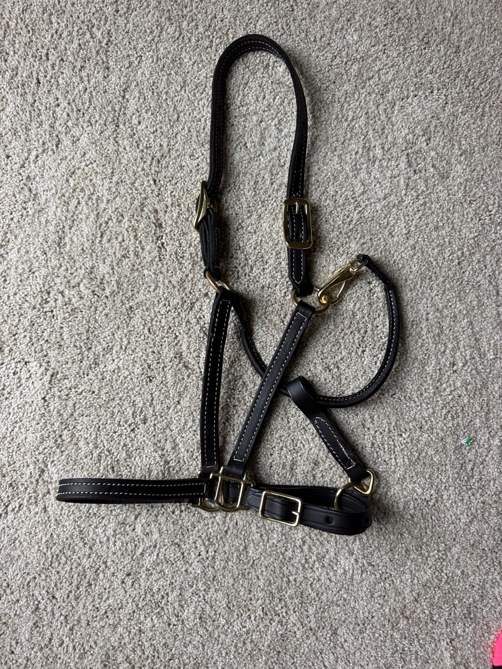 New Leather horse halter, HORSE size. 3/4”